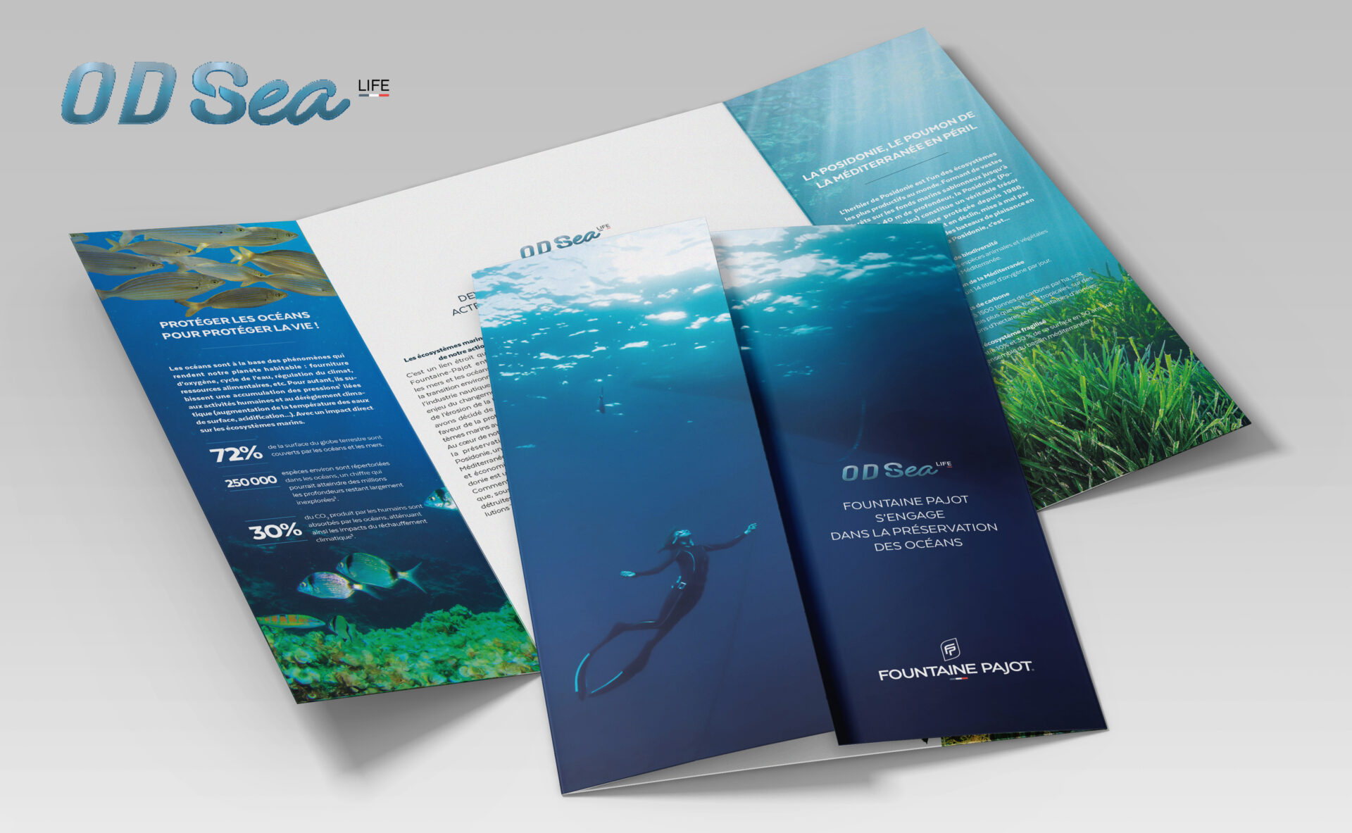 ©Markedia - Fountaine Pajot WWF - Conception graphique - Stratégie