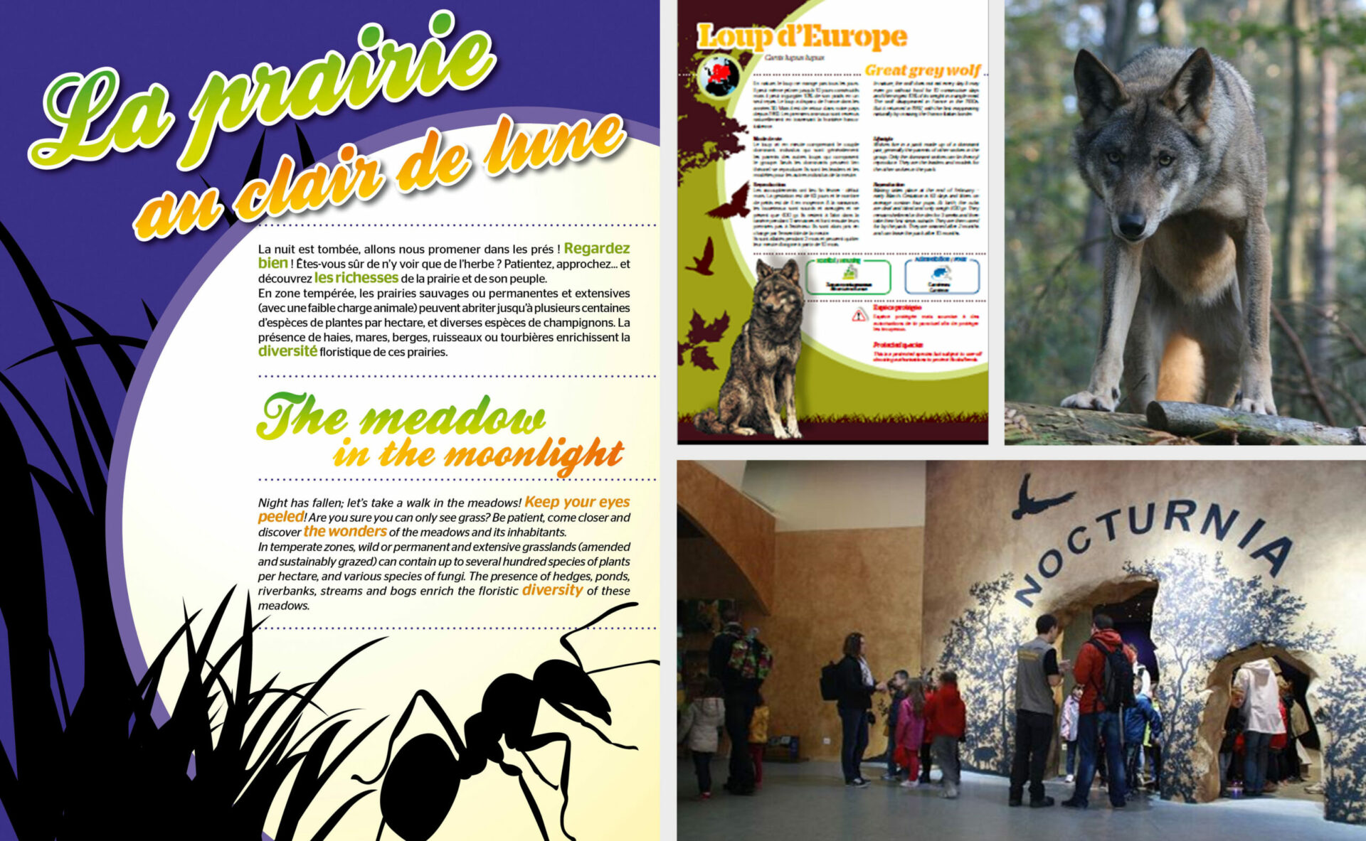 ©Markedia - Parc de l'Argonne - NOCTURNIA - Conception graphique de panneaux didactique