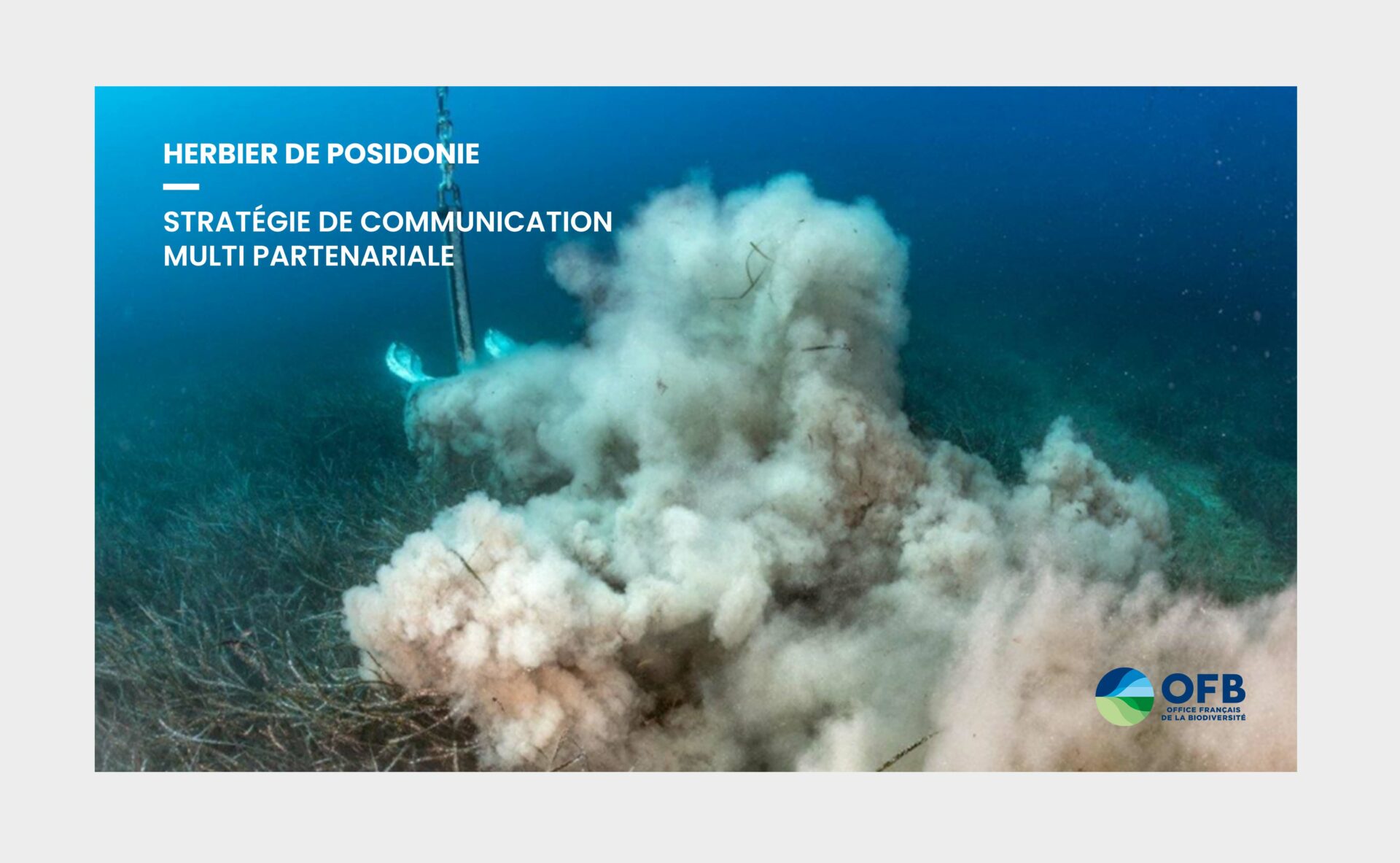 ©Markedia - Office français de la biodiversité (OFB) - Posidonie - Conseil & accompagnement